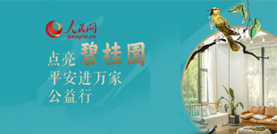 “點(diǎn)亮碧桂園 平安進(jìn)萬(wàn)家”公益行