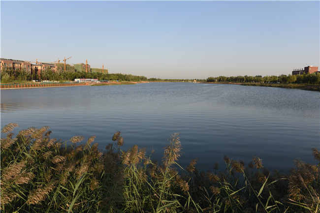 國家級水利風景區—夏津縣九龍口濕地公園