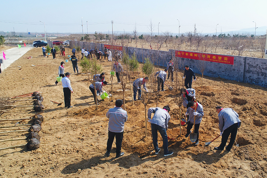 圖為日照市群眾參加公益植樹活動。王勇攝