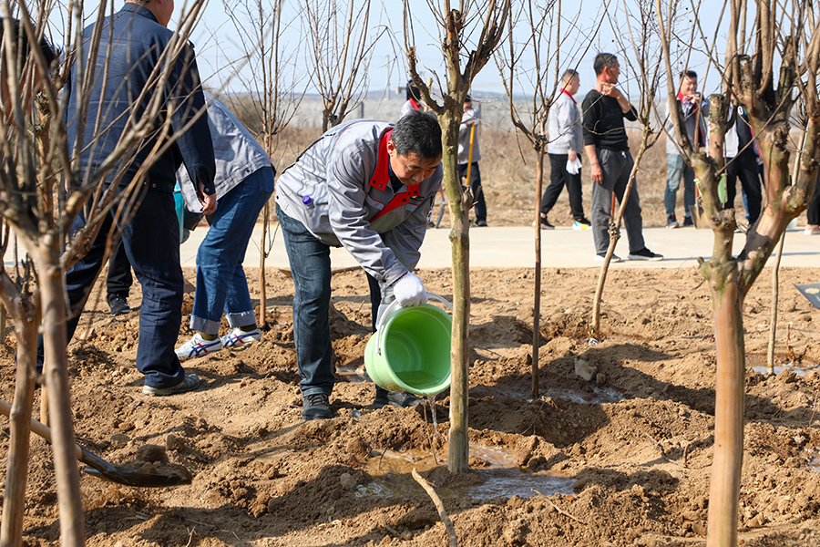 圖為日照市群眾參加公益植樹活動。王勇攝