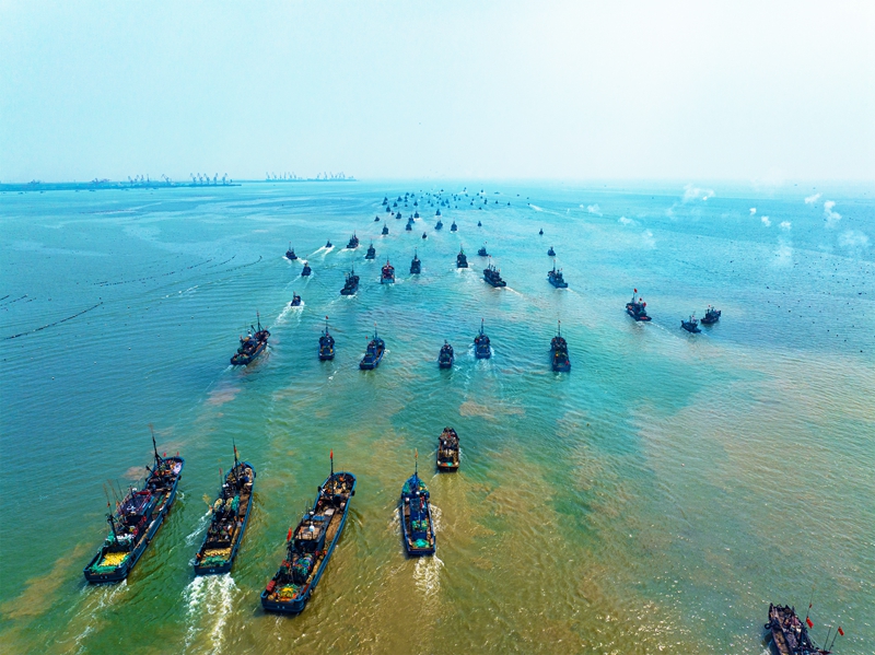在日照海山海天一級漁港，漁船爭“鮮”出海。丁敏航攝