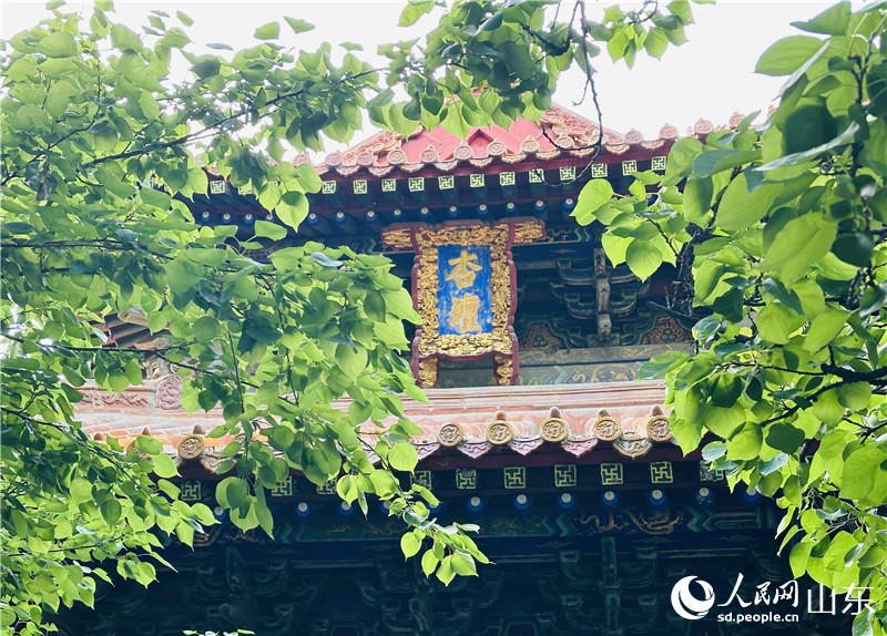 曲阜孔廟，枝葉掩映中的杏壇。人民網(wǎng) 喬姝攝