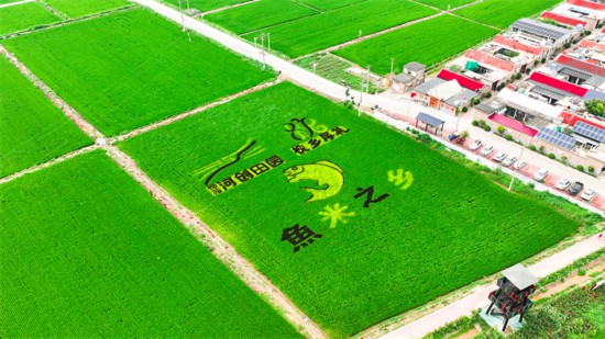 濟南槐蔭：“農業+”讓鄉村煥發新生機
