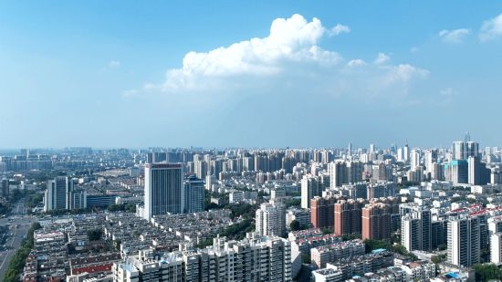 南辛莊：提升營商環境，跑出“項目深化年”的加速度