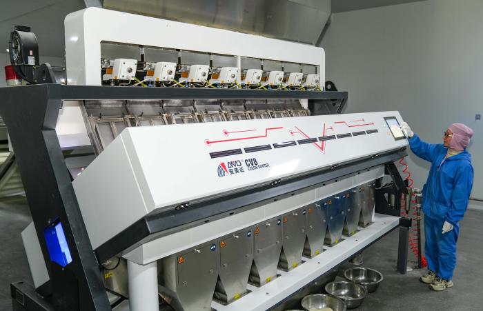 圖為2025年3月17日，在山東省樂(lè)陵市化樓鎮(zhèn)歐潤(rùn)食品有限公司生產(chǎn)車間，工人在有序地操作機(jī)械生產(chǎn)面包糠。