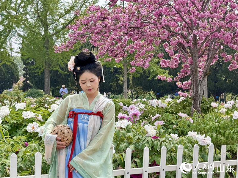 游客穿著漢服前來賞花。人民網 鄭昕橋攝