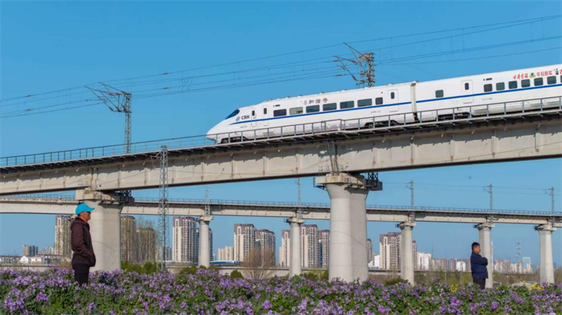 在日照街道迎賓路附近，列車行經(jīng)之處，紫色的碳匯花海像是一幅徐徐展開的巨型織錦。孫順濤攝