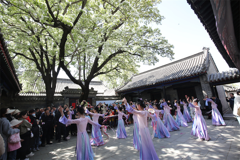 4月13日，在山東鄒城孟府景區(qū)，少年兒童在盛開的流蘇花下表演舞蹈。