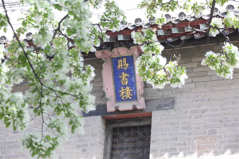 4月13日，在山東鄒城孟府景區(qū)拍攝的流蘇花。