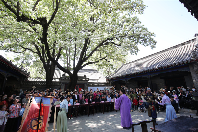 4月13日，在山東鄒城孟府景區(qū)，文藝工作者在盛開的流蘇花下表演音樂劇。