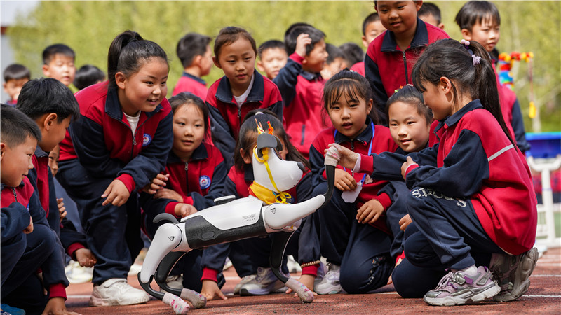 2025年4月16日，山東省樂陵市市中街道阜平小學科技勞動周現場，小學生在與機機器狗互動。