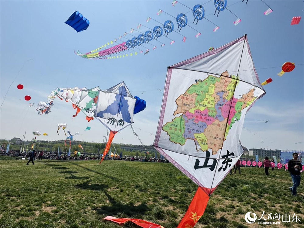 代表山東省各地市的風箏緩緩升上天際。 人民網 喬姝攝