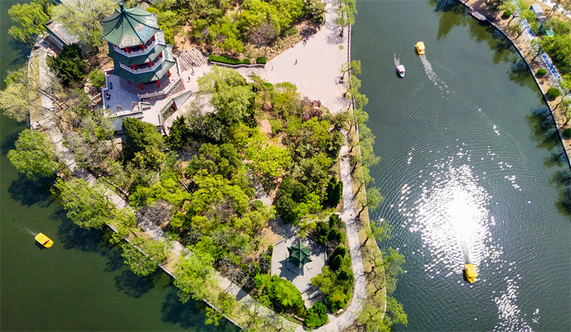 4月20日，游客在山東青島萊西市月湖公園泛舟游玩。張進剛攝