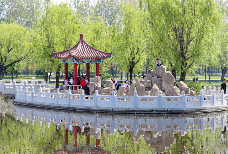 4月20日，游客在山東青島萊西市月湖公園踏青游玩。張進剛攝
