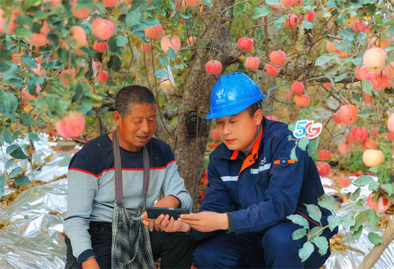 電信5G助力煙臺蘋果直播帶貨