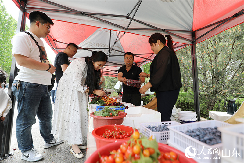 鄉村旅游集市人聲鼎沸，外地游客仔細挑選櫻桃。人民網記者 劉祺攝
