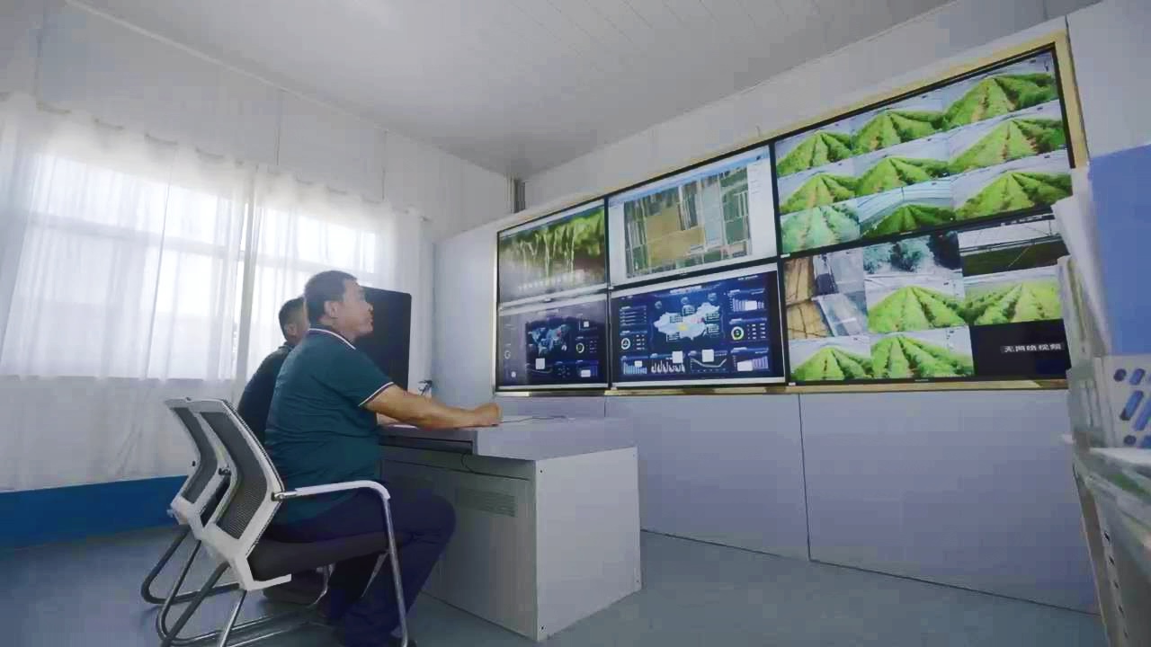 微信圖片_20250219165007