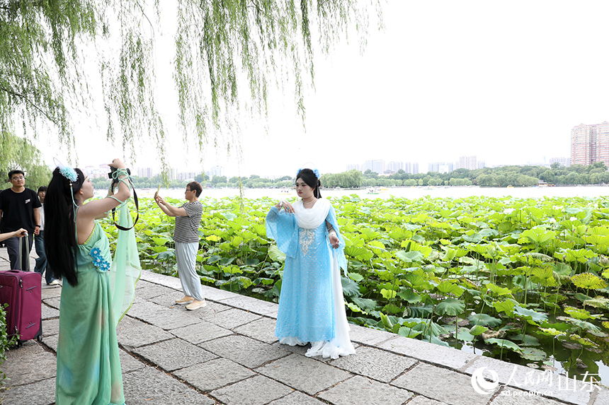大明湖景區(qū)數(shù)百畝荷花競相開放，吸引眾多游客前來觀賞打卡。人民網(wǎng)記者 劉祺攝